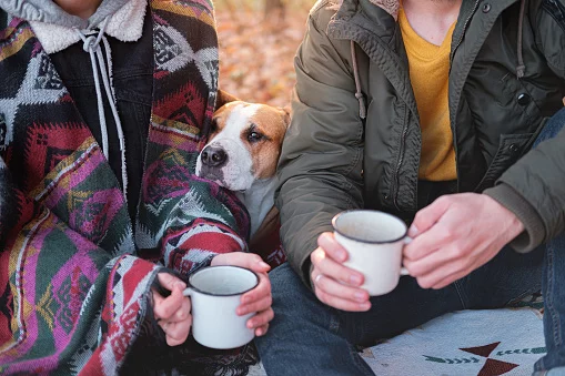 Mensch-Hund-Coaching, Verhaltensberatung für Hundehalter